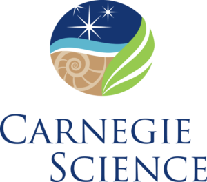 carnegielogo